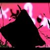 PsXXYborg 2