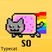 Typecat