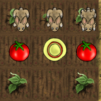 Salsa